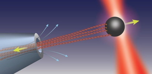Force on DNA